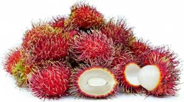 Rambutan