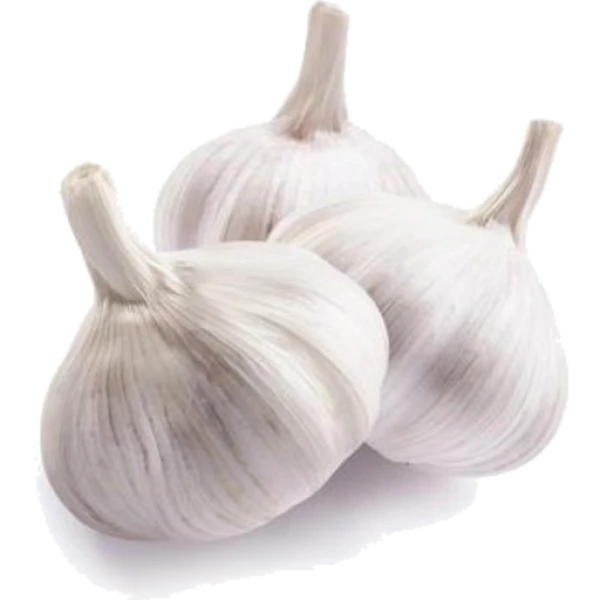 White Garlic